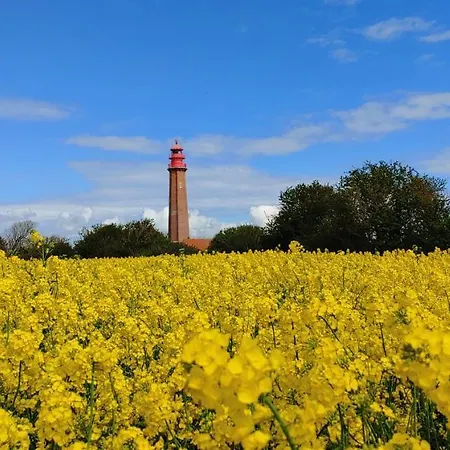 Sunny * Fehmarn